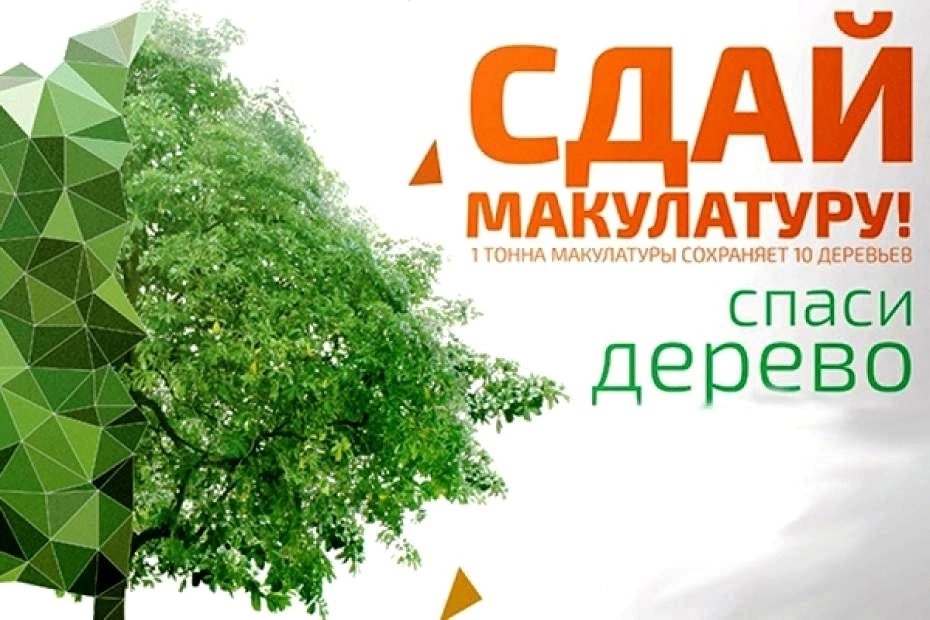 Сбор макулатуры.